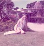 Jersey Holiday (4) * 605 x 631 * (40KB)